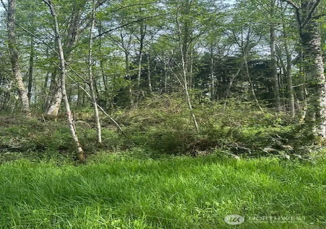 Photo 3 of Land for sale at 12 Ander Park Rd, Freeland, WA 98249 | MLS# NWM2515381 | Listing updated on 2026-09-21
