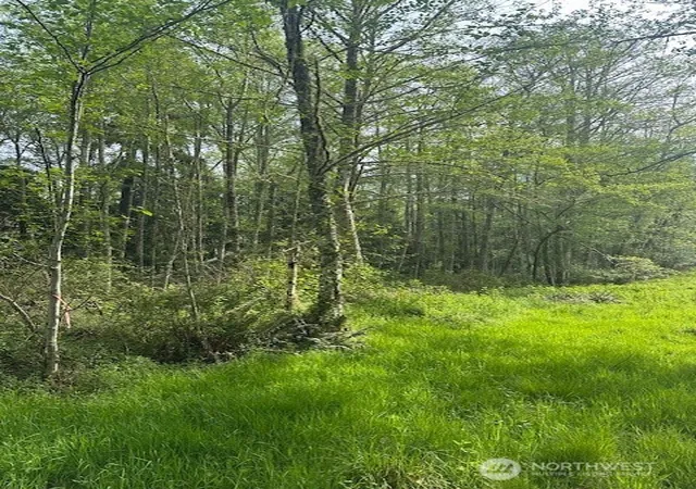 Photo 4 of Land for sale at 12 Ander Park Rd, Freeland, WA 98249 | MLS# NWM2515381 | Listing updated on 2026-09-21