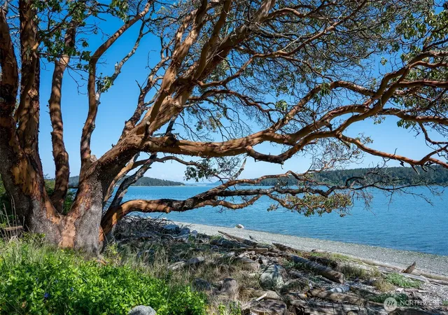 Photo 1 of Land for sale at 1484 Islandale Rd, Lopez Island, WA 98261 | MLS# NWM2515772 | Listing updated on 2026-09-30