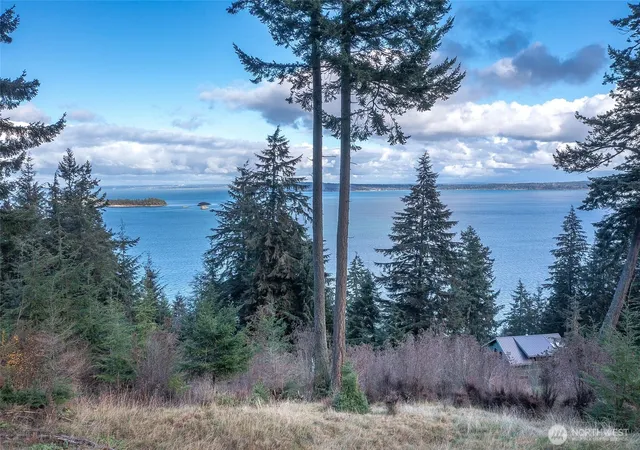 Photo 3 of Land for sale at 359 Georgia Stra Ln, Orcas Island, WA 98245 | MLS# NWM2515918 | Listing updated on 2026-09-21