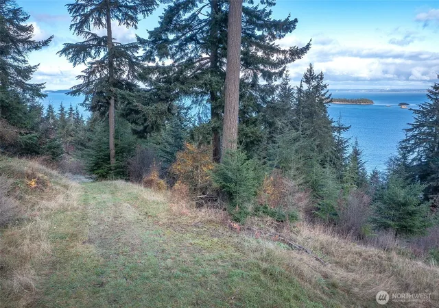 Photo 3 of Land for sale at 359 Georgia Stra Ln, Orcas Island, WA 98245 | MLS# NWM2515918 | Listing updated on 2026-09-21