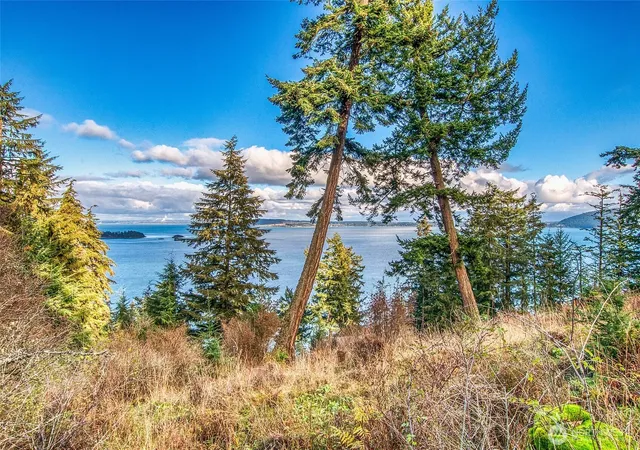 Photo 4 of Land for sale at 359 Georgia Stra Ln, Orcas Island, WA 98245 | MLS# NWM2515918 | Listing updated on 2026-09-21