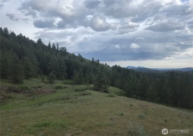 Photo 2 of Land for sale at 0 Fruitland Valley Rd, Fruitland, WA 99129 | MLS# NWM2515982 | Listing updated on 2026-09-21
