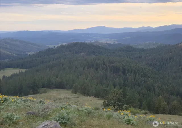 Photo 4 of Land for sale at 0 Fruitland Valley Rd, Fruitland, WA 99129 | MLS# NWM2515982 | Listing updated on 2026-09-21