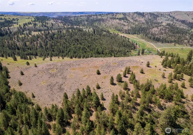 Photo 3 of Land for sale at 0 Peter Dan Rd, Coulee Dam, WA 99116 | MLS# NWM2516119 | Listing updated on 2026-09-21