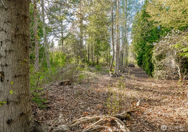 Photo 4 of Land for sale at 8647 Great Horned Owl Ln, Blaine, WA 98230 | MLS# NWM2516138 | Listing updated on 2026-09-21