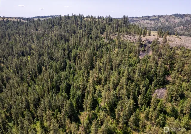 Photo 1 of Land for sale at 0 Peter Dan Crk Rd, Coulee Dam, WA 99116 | MLS# NWM2516139 | Listing updated on 2026-09-21