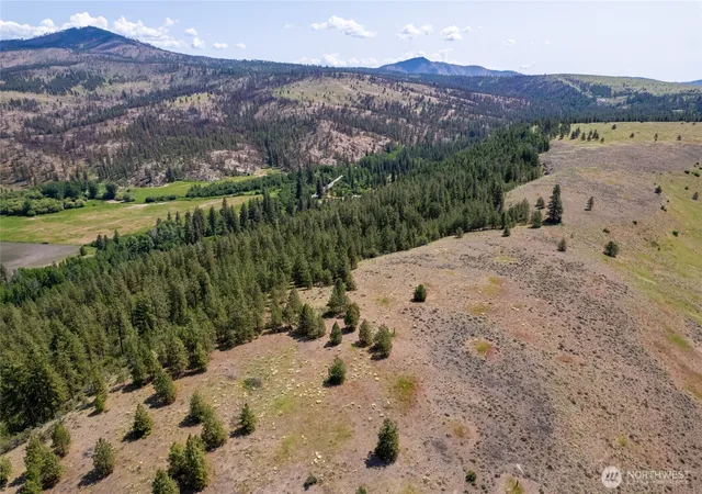 Photo 3 of Land for sale at 0 Peter Dan Crk Rd, Coulee Dam, WA 99116 | MLS# NWM2516139 | Listing updated on 2026-09-21