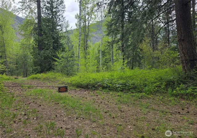 Photo 3 of Land for sale at 98 Cassel Way, Mazama, WA 98833 | MLS# NWM2516480 | Listing updated on 2026-09-21