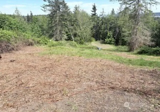 Photo 4 of Land for sale at 495 Louella Rd, Sequim, WA 98382 | MLS# NWM2516779 | Listing updated on 2026-09-21