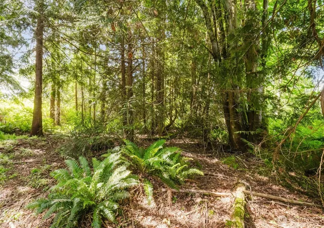 Photo 4 of Land for sale at 38742 Tinker Pl NE, Hansville, WA 98340 | MLS# NWM2516853 | Listing updated on 2026-09-21