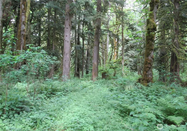 Photo 1 of Land for sale at 0 Arnold Ln, Concrete, WA 98237 | MLS# NWM2516855 | Listing updated on 2026-09-21