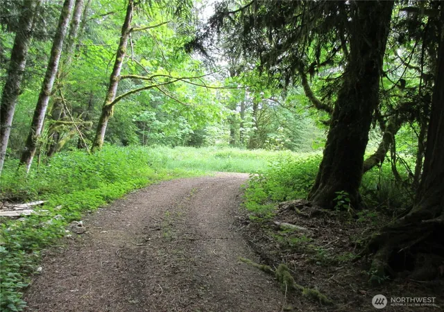 Photo 2 of Land for sale at 0 Arnold Ln, Concrete, WA 98237 | MLS# NWM2516855 | Listing updated on 2026-09-21