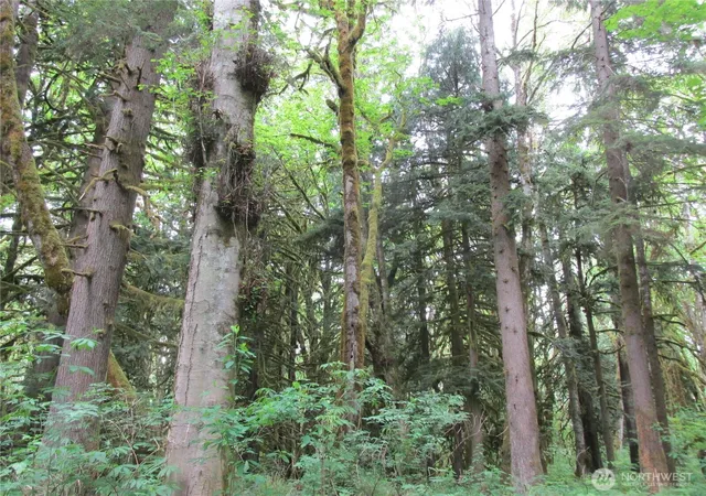 Photo 3 of Land for sale at 0 Arnold Ln, Concrete, WA 98237 | MLS# NWM2516855 | Listing updated on 2026-09-21