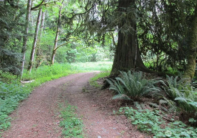 Photo 3 of Land for sale at 0 Arnold Ln, Concrete, WA 98237 | MLS# NWM2516855 | Listing updated on 2026-09-21
