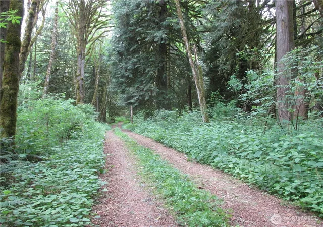 Photo 4 of Land for sale at 0 Arnold Ln, Concrete, WA 98237 | MLS# NWM2516855 | Listing updated on 2026-09-21
