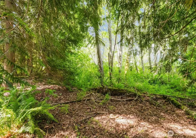 Photo 3 of Land for sale at 38743 Tinker Pl NE, Hansville, WA 98340 | MLS# NWM2516865 | Listing updated on 2026-09-21