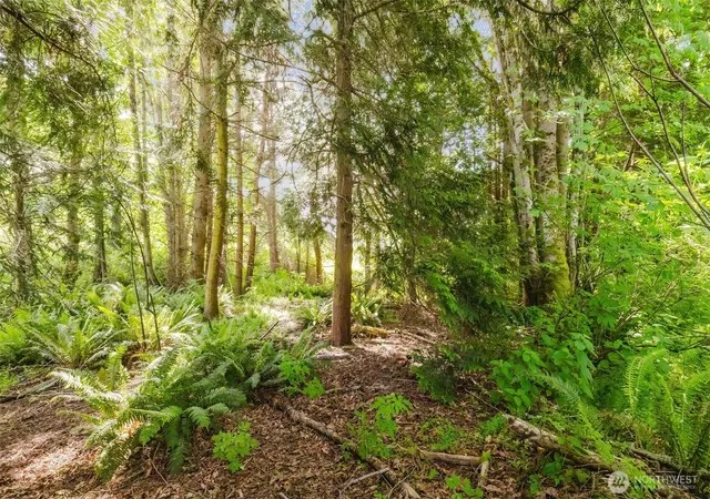 Photo 4 of Land for sale at 38743 Tinker Pl NE, Hansville, WA 98340 | MLS# NWM2516865 | Listing updated on 2026-09-21