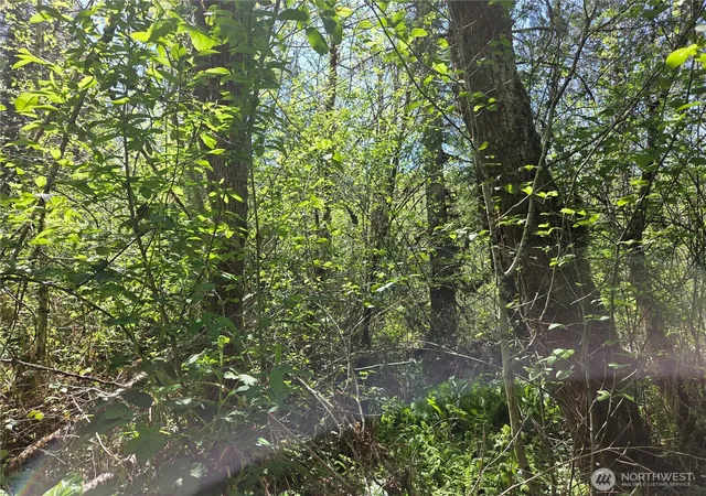 Photo 3 of Land for sale at 0 Falls Rd, Randle, WA 98377 | MLS# NWM2517194 | Listing updated on 2026-09-21