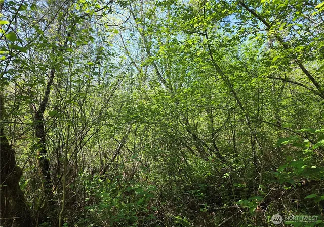 Photo 4 of Land for sale at 0 Falls Rd, Randle, WA 98377 | MLS# NWM2517194 | Listing updated on 2026-09-21