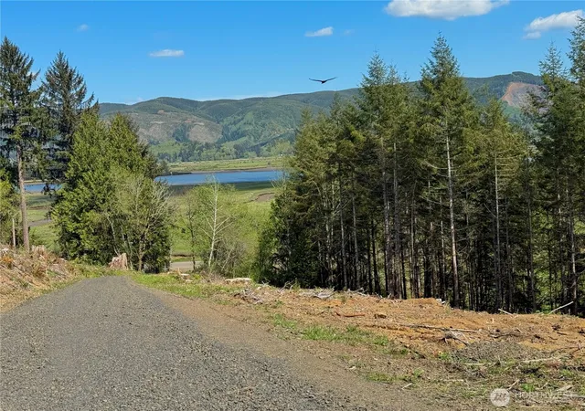 Photo 1 of Land for sale at 8464 Us Hwy 101, South Bend, WA 98586 | MLS# NWM2517276 | Listing updated on 2026-09-21