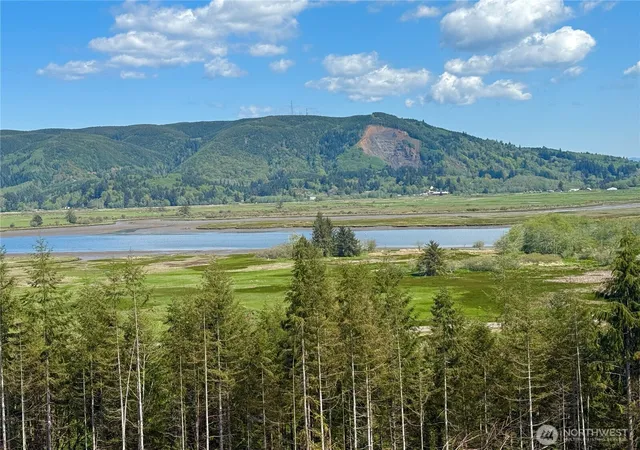 Photo 3 of Land for sale at 8464 Us Hwy 101, South Bend, WA 98586 | MLS# NWM2517276 | Listing updated on 2026-09-21