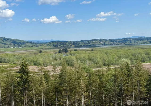 Photo 3 of Land for sale at 8464 US Hwy 101, South Bend, WA 98586 | MLS# NWM2517276 | Listing updated on 2026-09-21