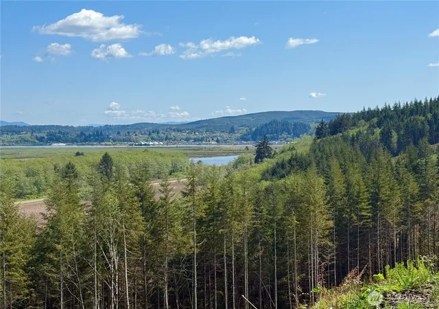 Photo 4 of Land for sale at 8464 US Hwy 101, South Bend, WA 98586 | MLS# NWM2517276 | Listing updated on 2026-09-21