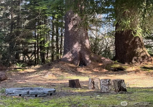 Photo 1 of Land for sale at 15500 Birch St, Long Beach, WA 98631 | MLS# NWM2517303 | Listing updated on 2026-09-21
