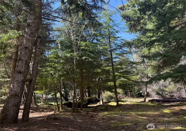 Photo 3 of Land for sale at 15500 Birch St, Long Beach, WA 98631 | MLS# NWM2517303 | Listing updated on 2026-09-21