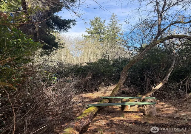 Photo 4 of Land for sale at 15500 Birch St, Long Beach, WA 98631 | MLS# NWM2517303 | Listing updated on 2026-09-21