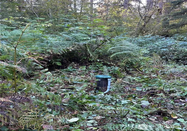 Photo 2 of Land for sale at 13863 351st Avenue Ne, Duvall, WA 98019 | MLS# NWM2517328 | Listing updated on 2026-09-21