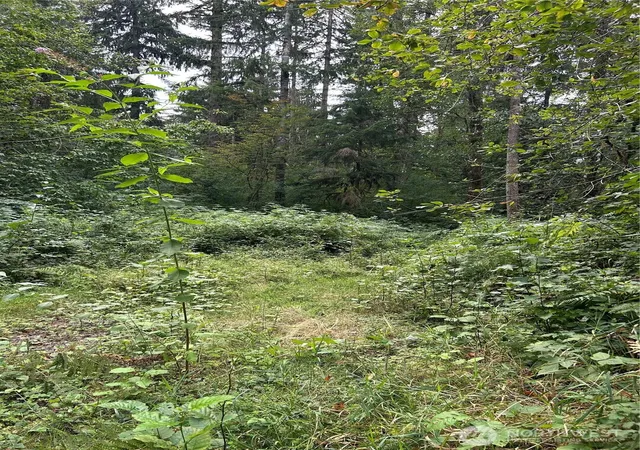 Photo 3 of Land for sale at 13863 351st Avenue NE, Duvall, WA 98019 | MLS# NWM2517328 | Listing updated on 2026-09-21