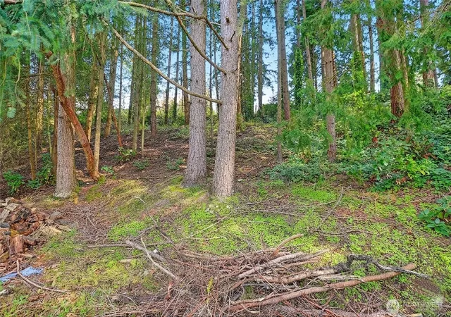 Photo 3 of Land for sale at 17810 Olympic View Dr, Edmonds, WA 98026 | MLS# NWM2517346 | Listing updated on 2026-09-21