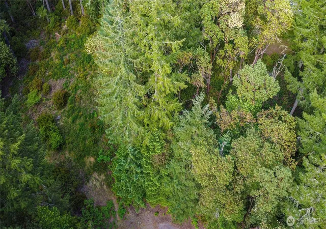 Photo 3 of Land for sale at 12027 Country Clb Dr, Anderson Island, WA 98303 | MLS# NWM2517378 | Listing updated on 2026-09-21