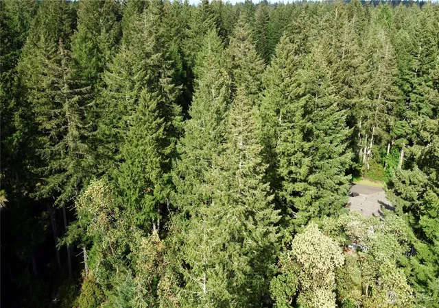 Photo 3 of Land for sale at 12027 Country Clb Dr, Anderson Island, WA 98303 | MLS# NWM2517378 | Listing updated on 2026-09-21
