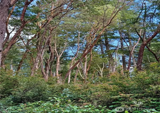 Photo 4 of Land for sale at 12027 Country Clb Dr, Anderson Island, WA 98303 | MLS# NWM2517378 | Listing updated on 2026-09-21
