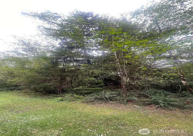 Photo 1 of Land for sale at 0 Lot 42 Bay Ln, South Bend, WA 98586 | MLS# NWM2517437 | Listing updated on 2026-09-21