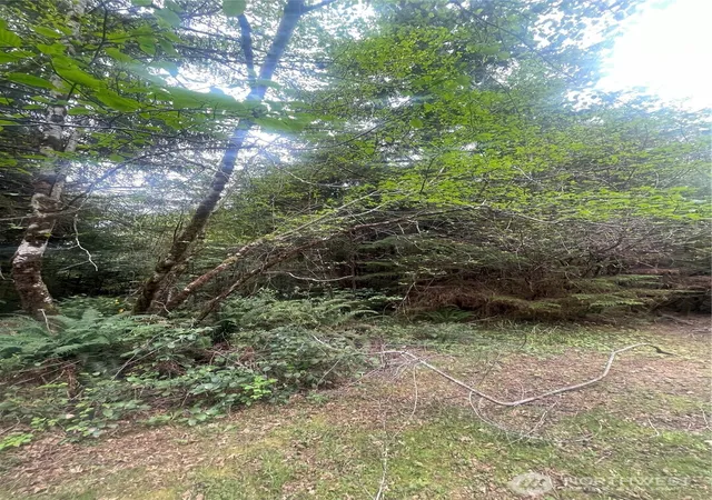 Photo 2 of Land for sale at 0 Lot 42 Bay Ln, South Bend, WA 98586 | MLS# NWM2517437 | Listing updated on 2026-09-21