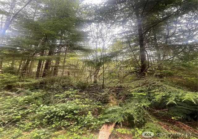 Photo 3 of Land for sale at 0 Lot 42 Bay Ln, South Bend, WA 98586 | MLS# NWM2517437 | Listing updated on 2026-09-21