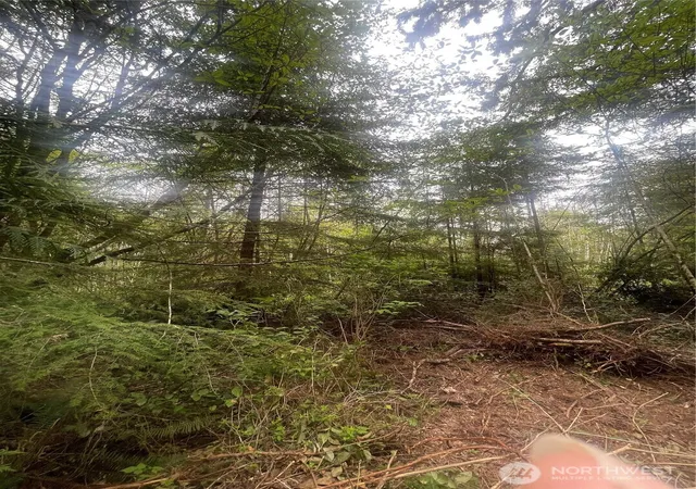 Photo 3 of Land for sale at 0 Lot 42 Bay Ln, South Bend, WA 98586 | MLS# NWM2517437 | Listing updated on 2026-09-21