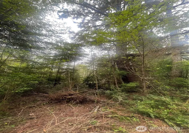 Photo 4 of Land for sale at 0 Lot 42 Bay Ln, South Bend, WA 98586 | MLS# NWM2517437 | Listing updated on 2026-09-21