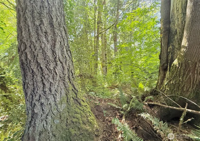 Photo 3 of Land for sale at 1356 Se Carl Pickel Dr, Port Orchard, WA 98366 | MLS# NWM2517552 | Listing updated on 2026-09-21