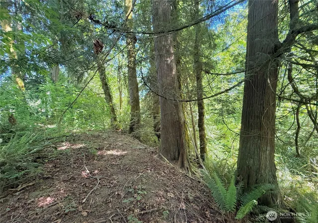 Photo 3 of Land for sale at 1356 SE Carl Pickel Dr, Port Orchard, WA 98366 | MLS# NWM2517552 | Listing updated on 2026-09-21