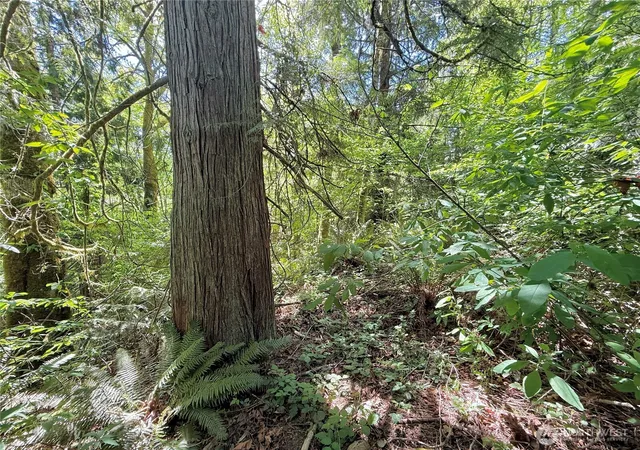 Photo 4 of Land for sale at 1356 SE Carl Pickel Dr, Port Orchard, WA 98366 | MLS# NWM2517552 | Listing updated on 2026-09-21