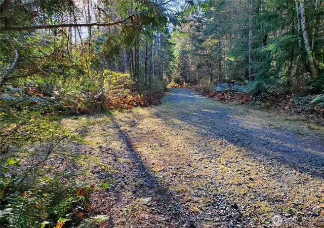 Photo 4 of Land for sale at 10128 298th Avenue SE, Monroe, WA 98272 | MLS# NWM2517554 | Listing updated on 2026-09-21