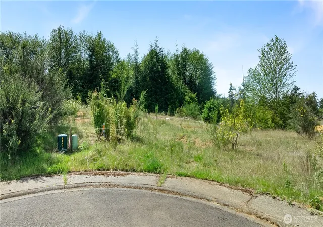 Photo 3 of Land for sale at 0 Lot 13 Curlew Ct, Hoquiam, WA 98550 | MLS# NWM2517660 | Listing updated on 2026-09-21