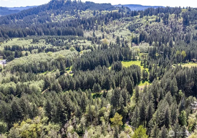 Photo 4 of Land for sale at 171 Sugarpine Rd, Ariel, WA 98603 | MLS# NWM2517752 | Listing updated on 2026-09-21