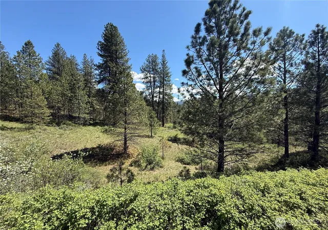 Photo 1 of Land for sale at 0 Tbd Fir Ln, Curlew, WA 99118 | MLS# NWM2517778 | Listing updated on 2026-09-21