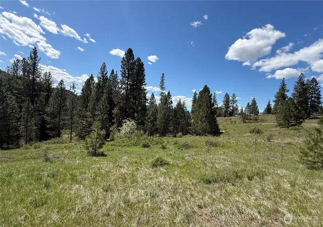Photo 2 of Land for sale at 0 Tbd Fir Ln, Curlew, WA 99118 | MLS# NWM2517778 | Listing updated on 2026-09-21